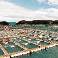 Fishfarms